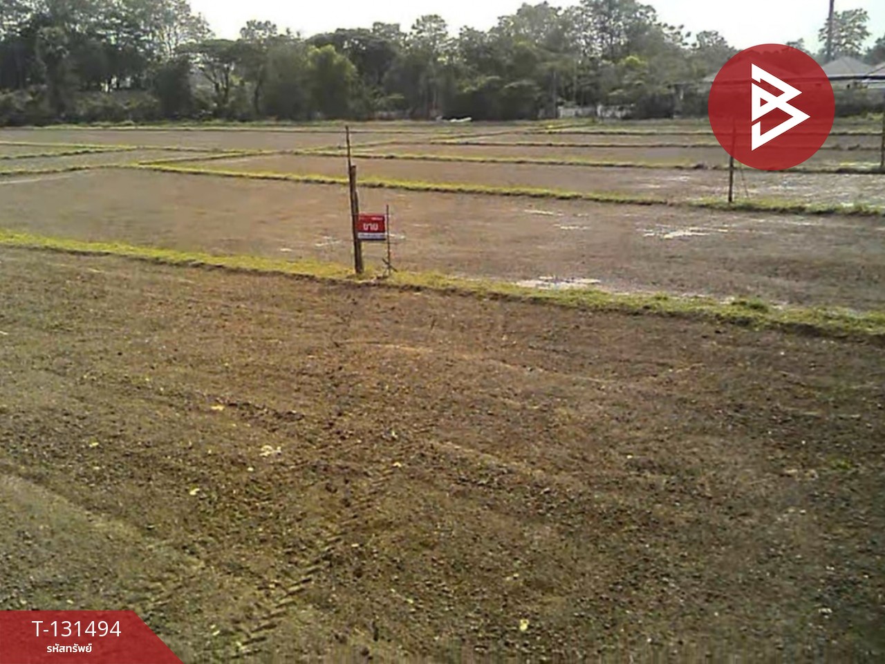 ขายที่ดิน เนื้อที่ 11 ไร่ 1 งาน 76 ตารางวา ดอยสะเก็ด เชียงใหม่ 6