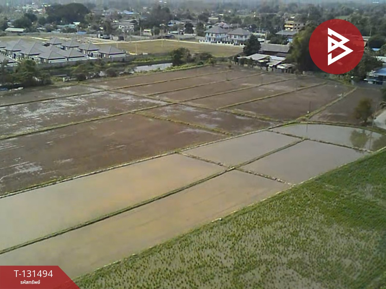 ขายที่ดิน เนื้อที่ 11 ไร่ 1 งาน 76 ตารางวา ดอยสะเก็ด เชียงใหม่ 2