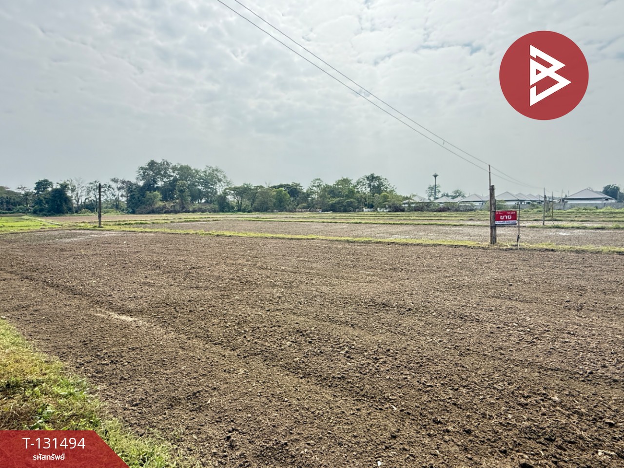 ขายที่ดิน เนื้อที่ 11 ไร่ 1 งาน 76 ตารางวา ดอยสะเก็ด เชียงใหม่ 7