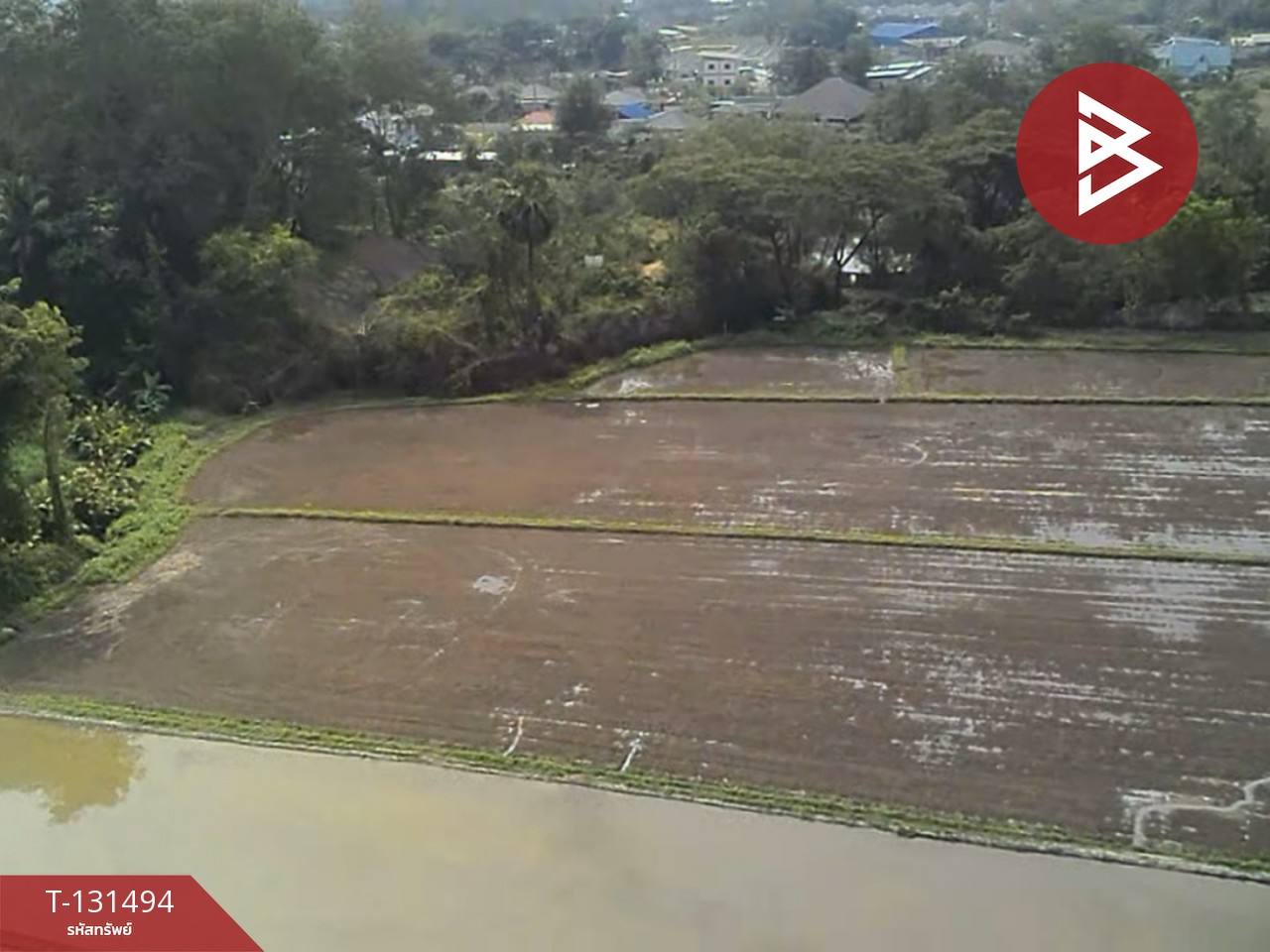 ขายที่ดิน เนื้อที่ 11 ไร่ 1 งาน 76 ตารางวา ดอยสะเก็ด เชียงใหม่ 3