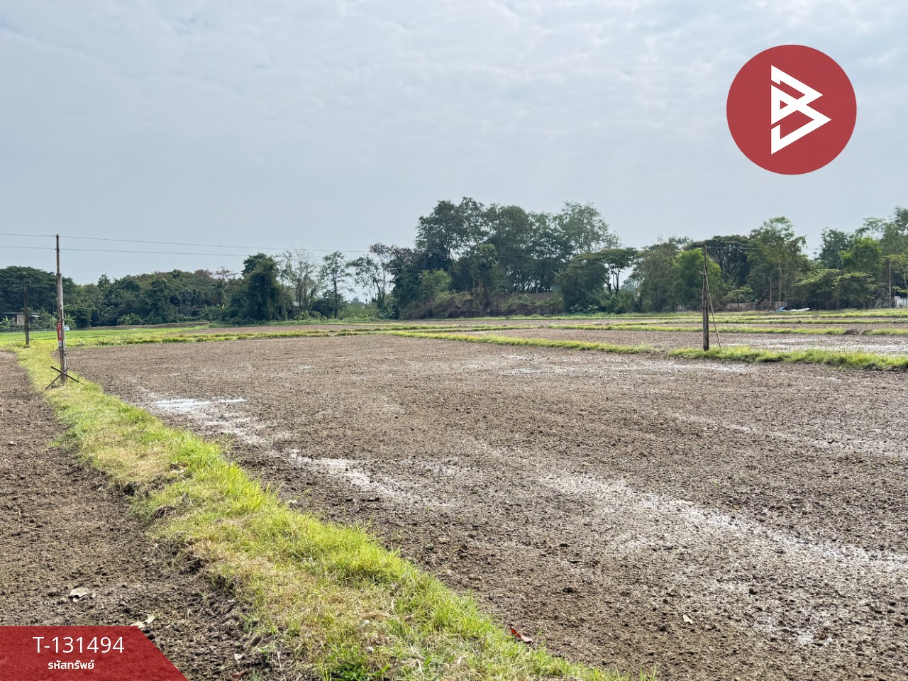 ขายที่ดิน เนื้อที่ 11 ไร่ 1 งาน 76 ตารางวา ดอยสะเก็ด เชียงใหม่ 10