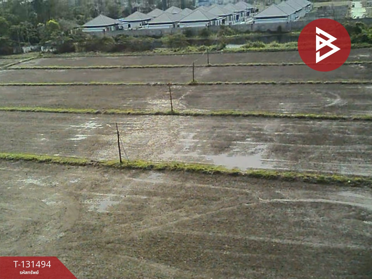 ขายที่ดิน เนื้อที่ 11 ไร่ 1 งาน 76 ตารางวา ดอยสะเก็ด เชียงใหม่ 4