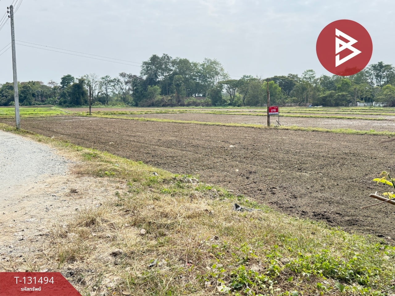 ขายที่ดิน เนื้อที่ 11 ไร่ 1 งาน 76 ตารางวา ดอยสะเก็ด เชียงใหม่ 11