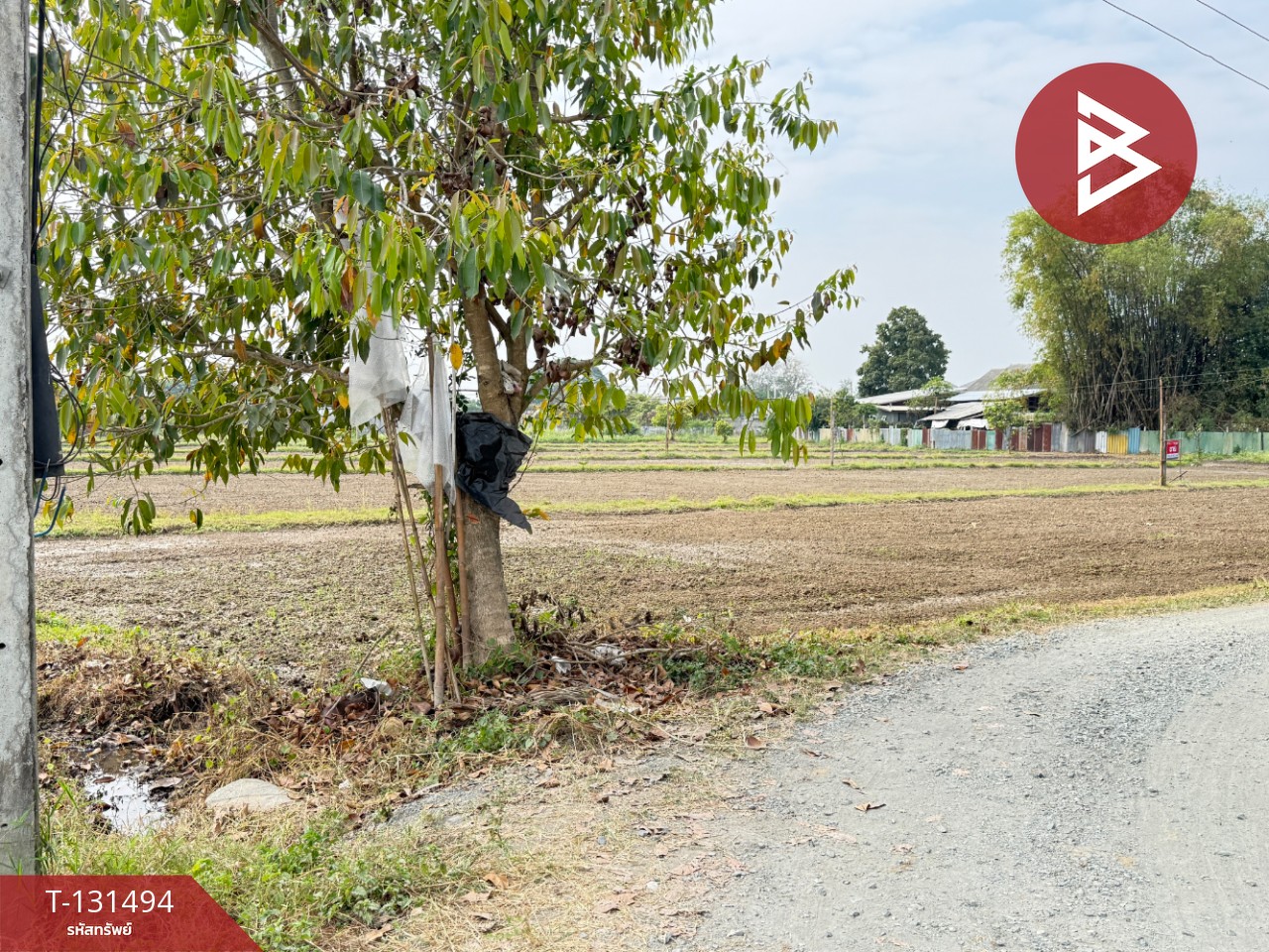 ขายที่ดิน เนื้อที่ 11 ไร่ 1 งาน 76 ตารางวา ดอยสะเก็ด เชียงใหม่ 14