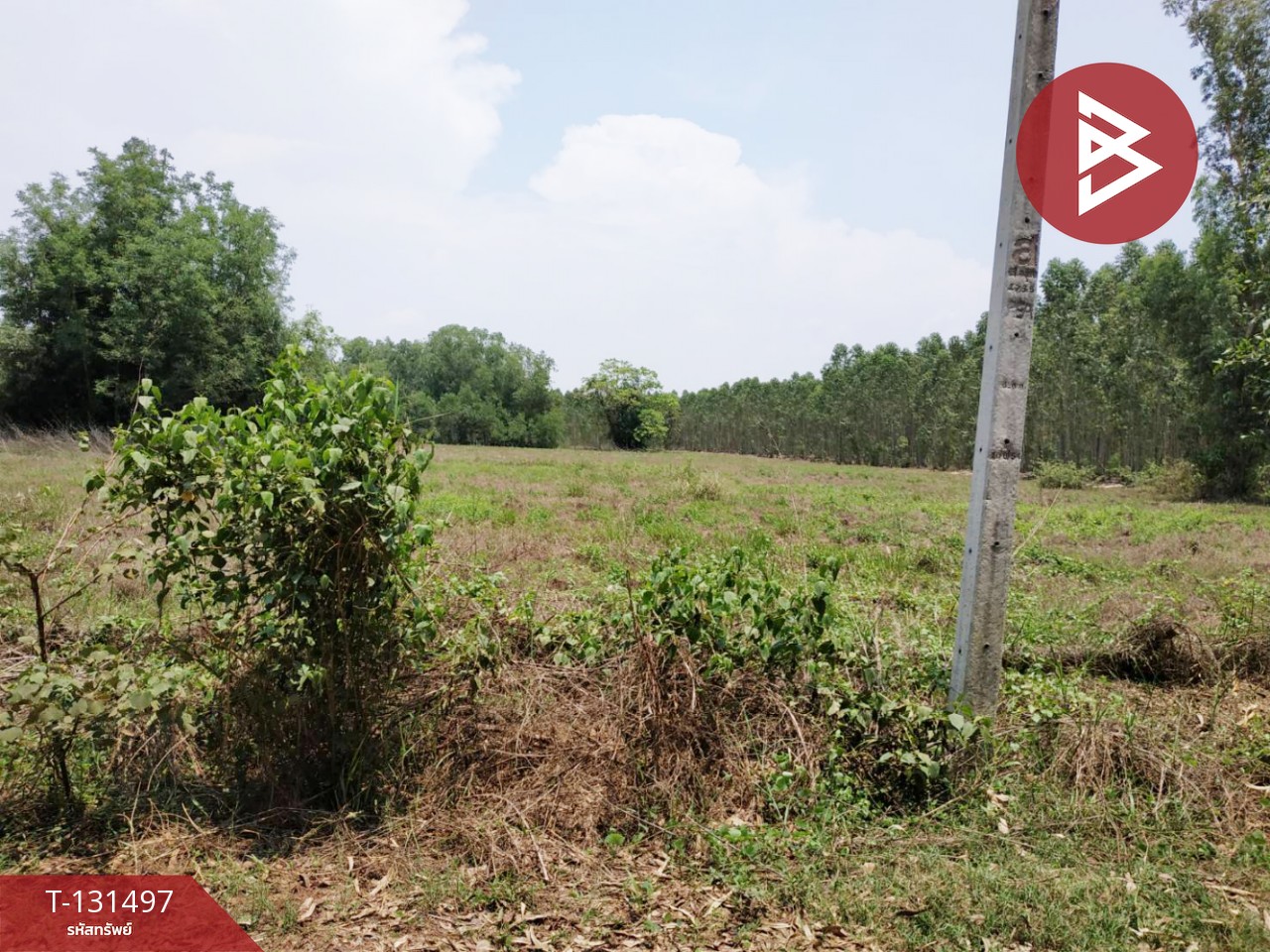 ขายที่ดิน เนื้อที่ 3 ไร่ 2 งาน นาดี ปราจีนบุรี 5