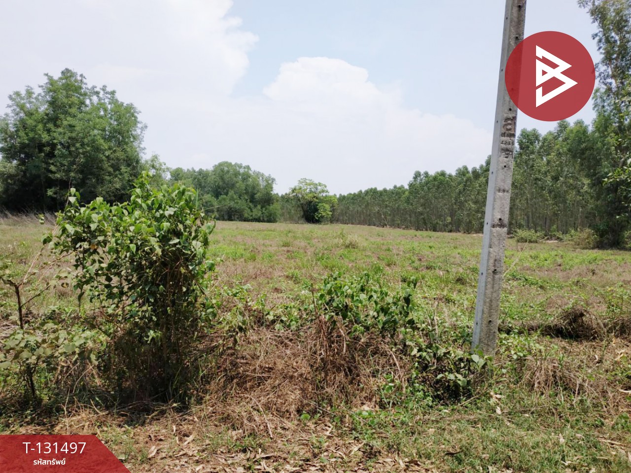 ขายที่ดิน เนื้อที่ 3 ไร่ 2 งาน นาดี ปราจีนบุรี 1