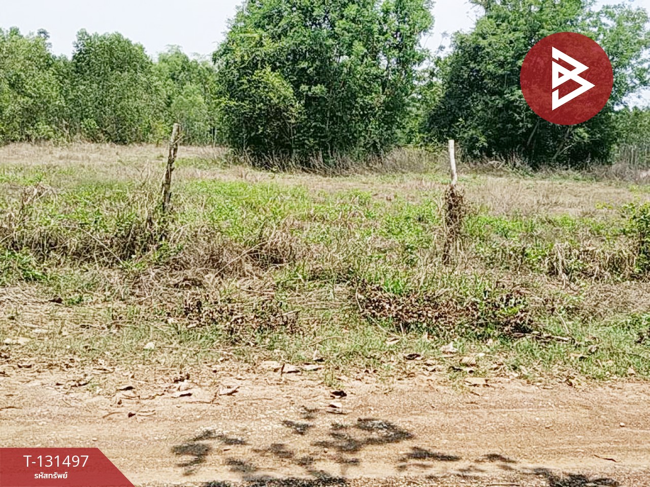 ขายที่ดิน เนื้อที่ 3 ไร่ 2 งาน นาดี ปราจีนบุรี 3