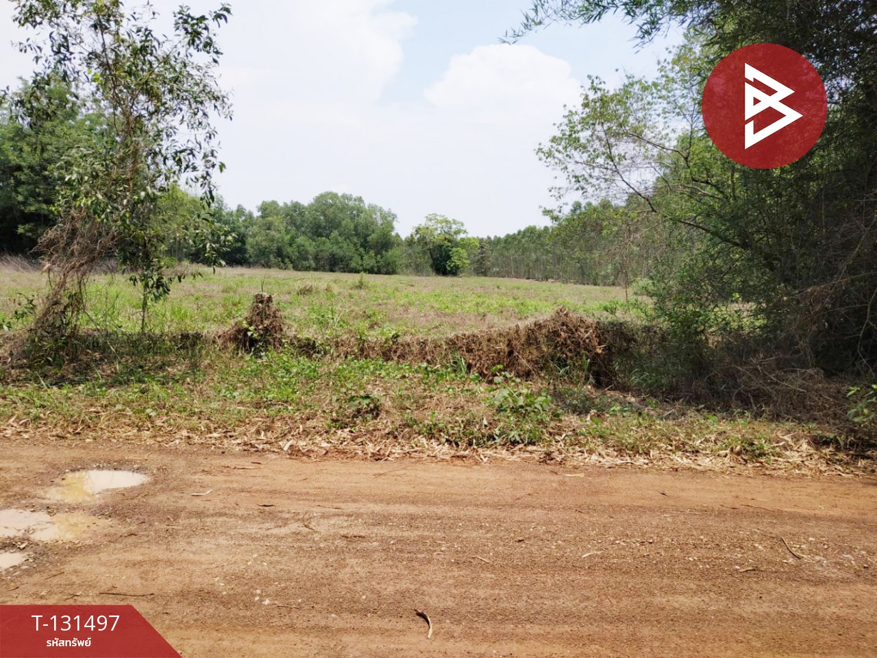 ขายที่ดิน เนื้อที่ 3 ไร่ 2 งาน นาดี ปราจีนบุรี 2