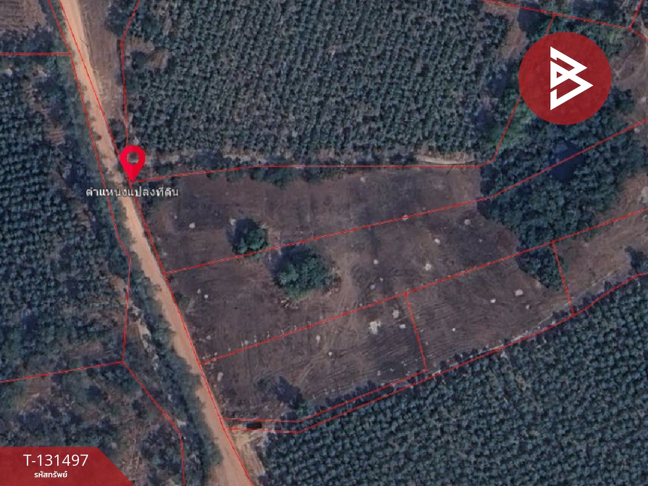 ขายที่ดิน เนื้อที่ 3 ไร่ 2 งาน นาดี ปราจีนบุรี 8