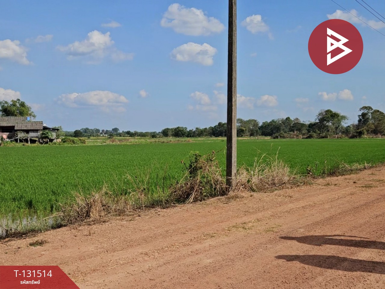 ขายที่ดิน เนื้อที่ 6 ไร่ 90 ตร.วา ปากพลี นครนายก 4