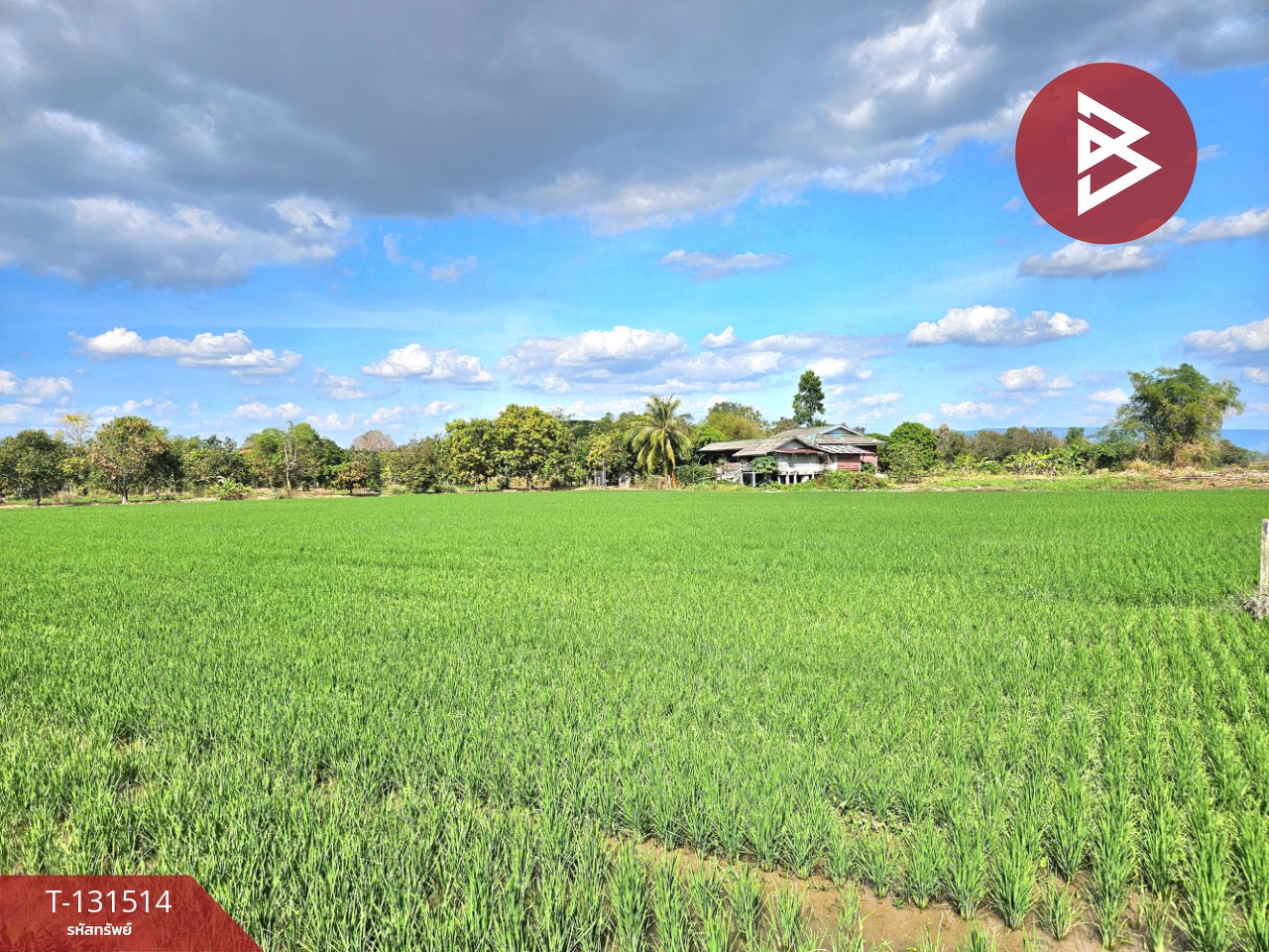 ขายที่ดิน เนื้อที่ 6 ไร่ 90 ตร.วา ปากพลี นครนายก 1