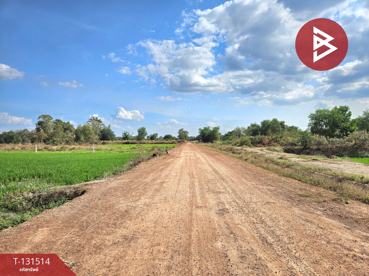 ขายที่ดิน เนื้อที่ 6 ไร่ 90 ตร.วา ปากพลี นครนายก 7