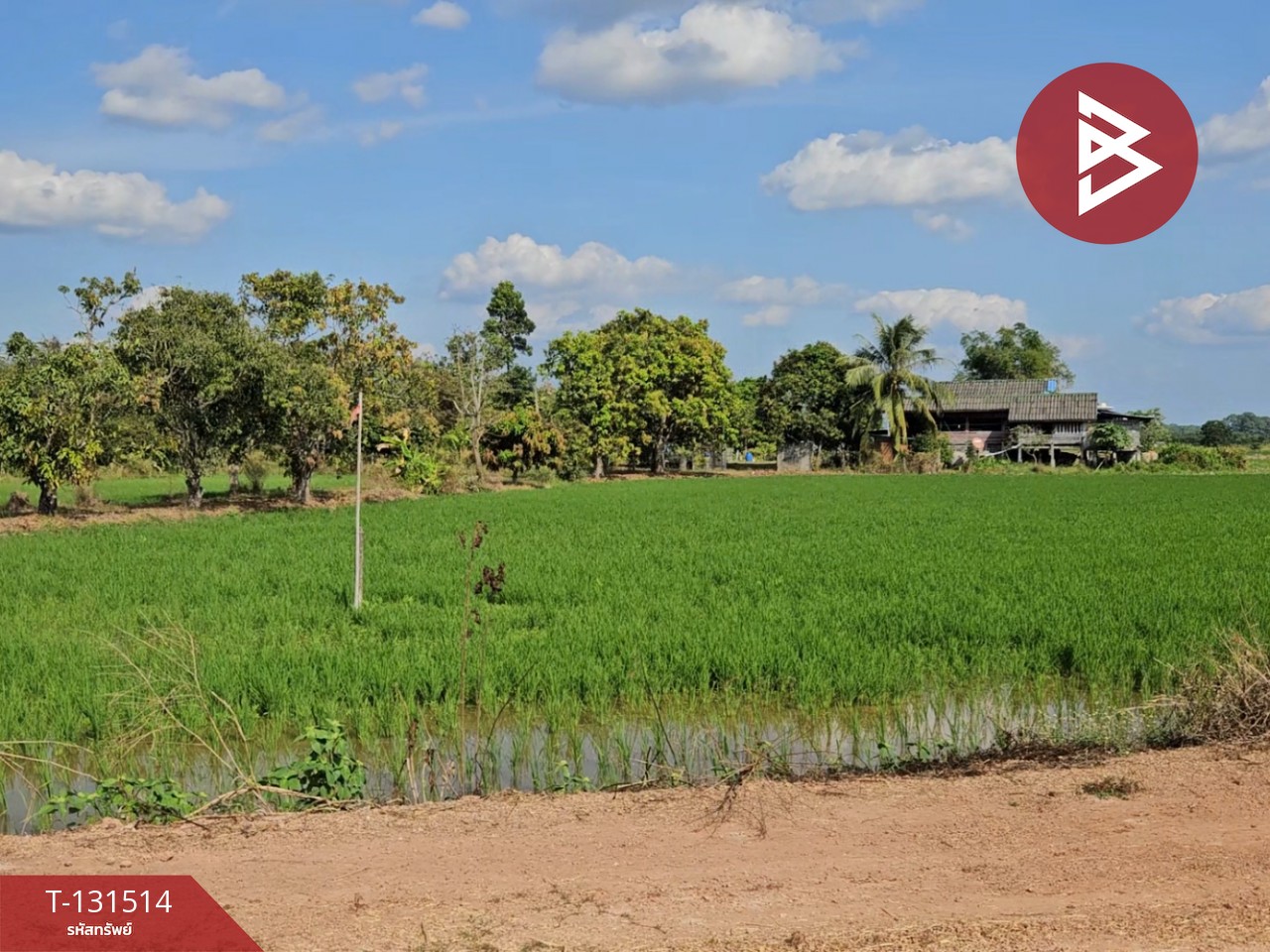 ขายที่ดิน เนื้อที่ 6 ไร่ 90 ตร.วา ปากพลี นครนายก 2