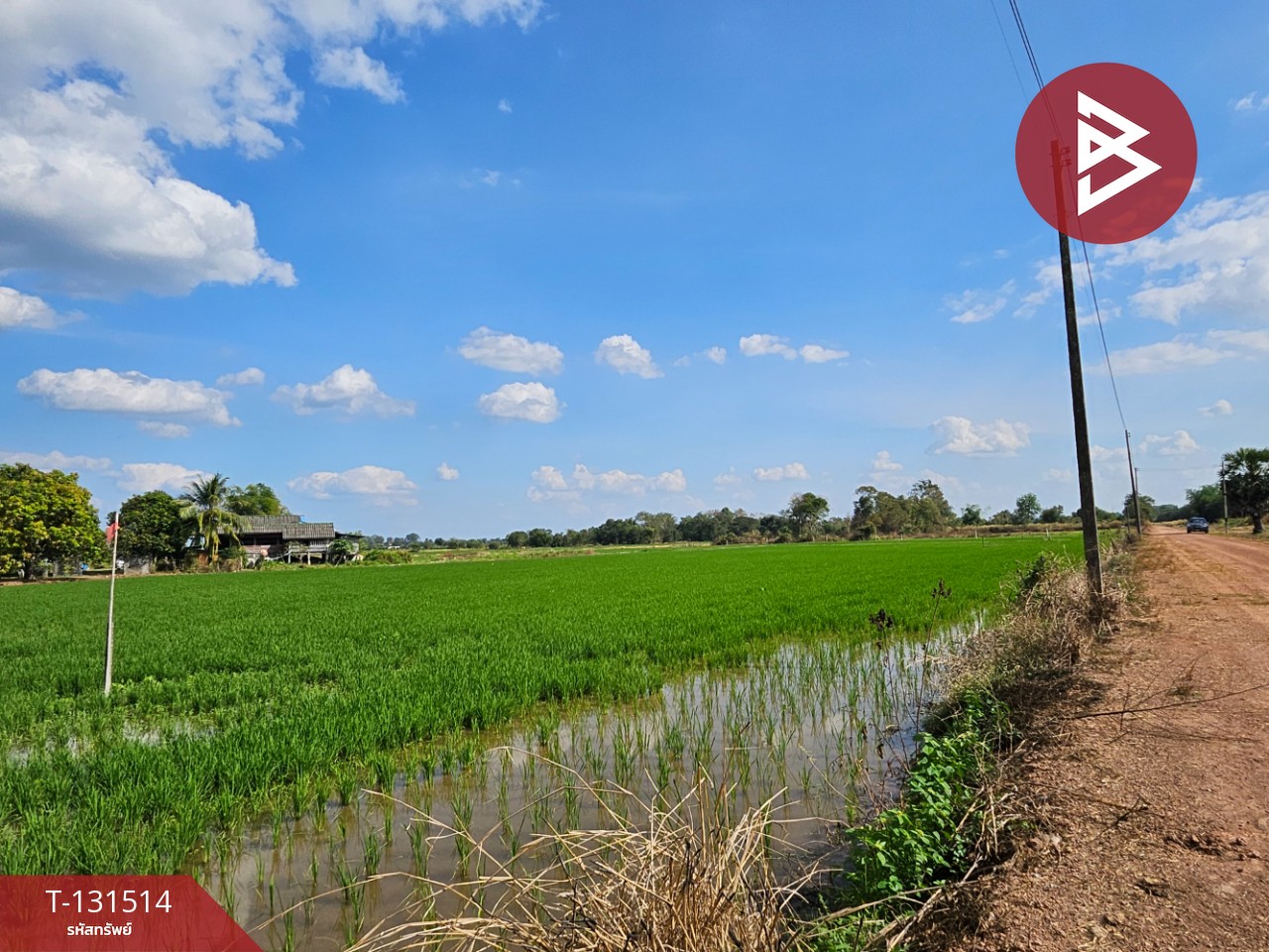 ขายที่ดิน เนื้อที่ 6 ไร่ 90 ตร.วา ปากพลี นครนายก 3