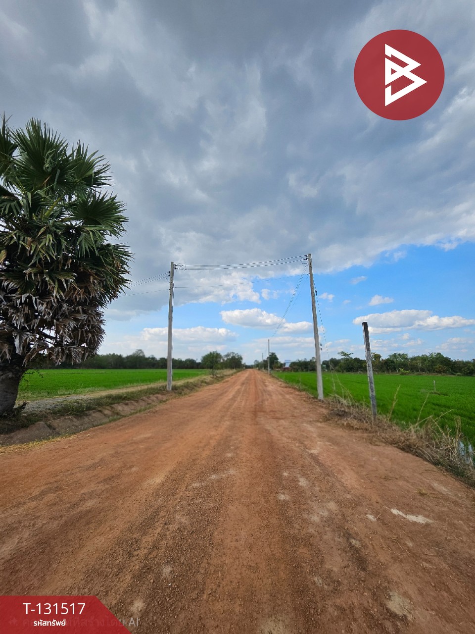 ขายที่ดิน เนื้อที่ 2 ไร่ 90 ตร.วา ปากพลี นครนายก 8