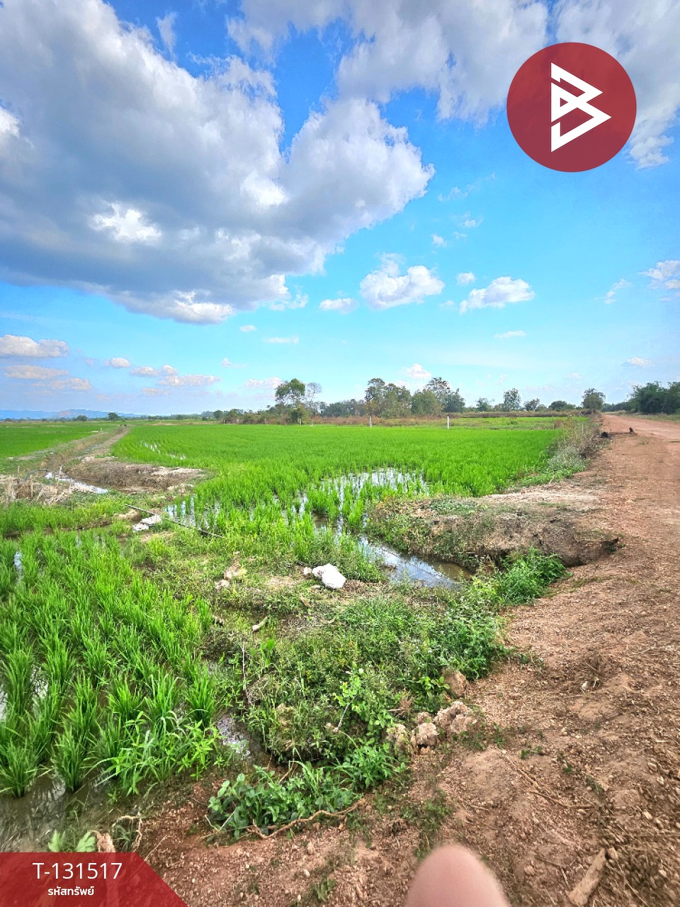 ขายที่ดิน เนื้อที่ 2 ไร่ 90 ตร.วา ปากพลี นครนายก 13