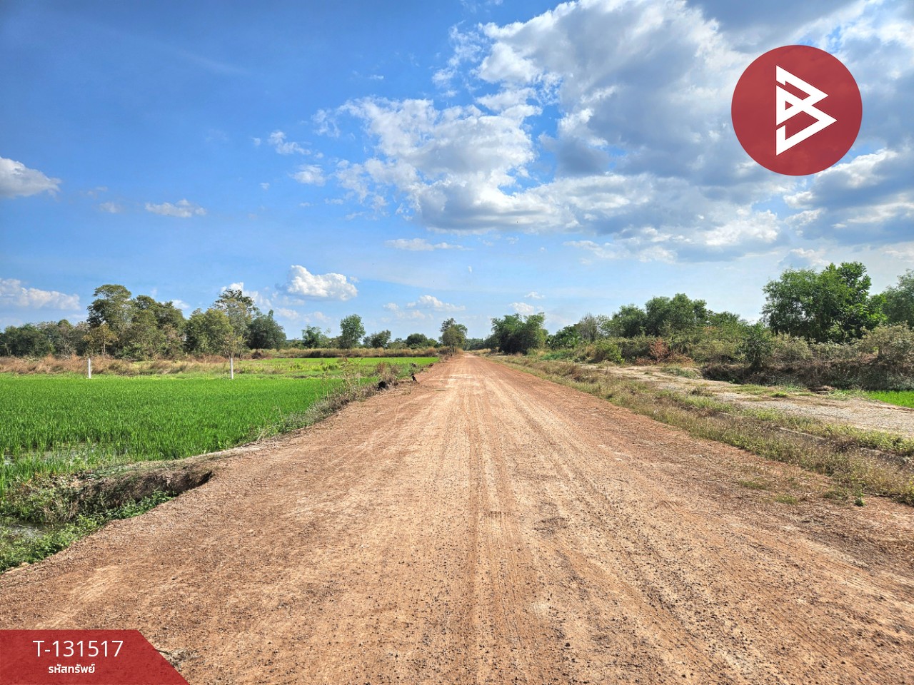 ขายที่ดิน เนื้อที่ 2 ไร่ 90 ตร.วา ปากพลี นครนายก 12