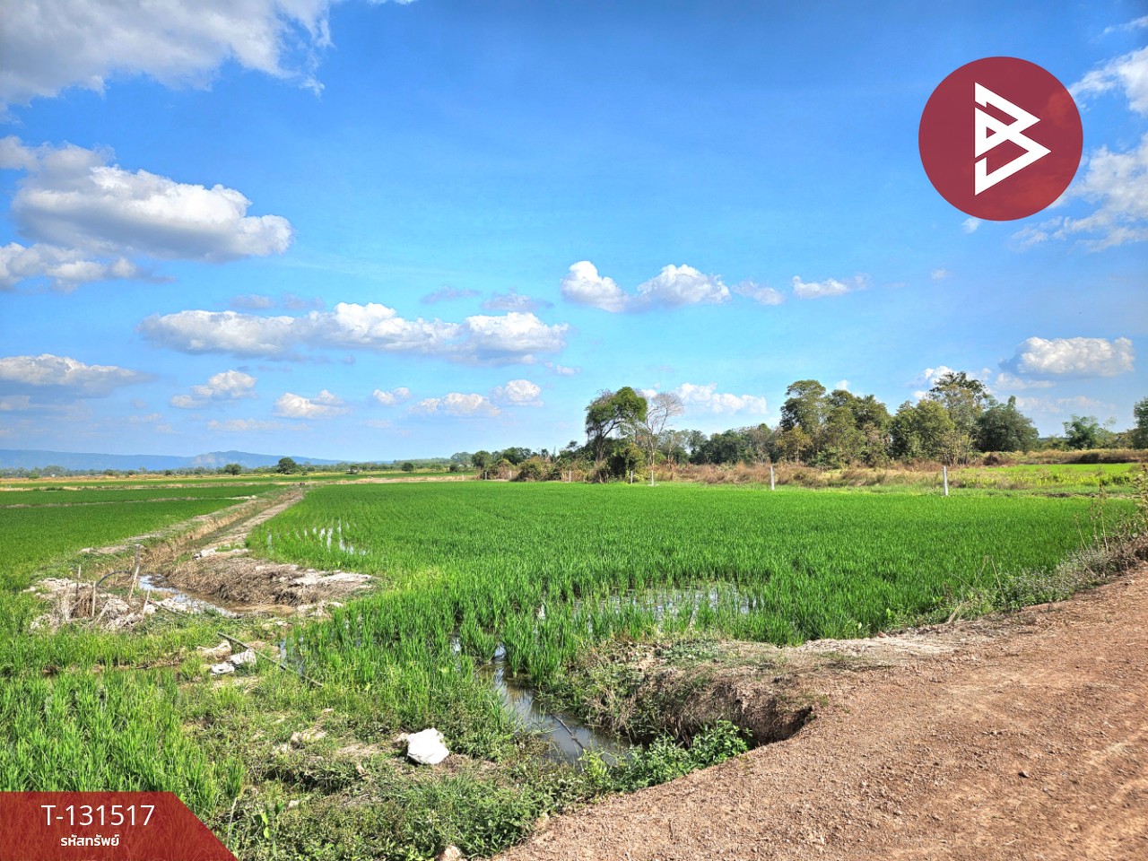 ขายที่ดิน เนื้อที่ 2 ไร่ 90 ตร.วา ปากพลี นครนายก 1