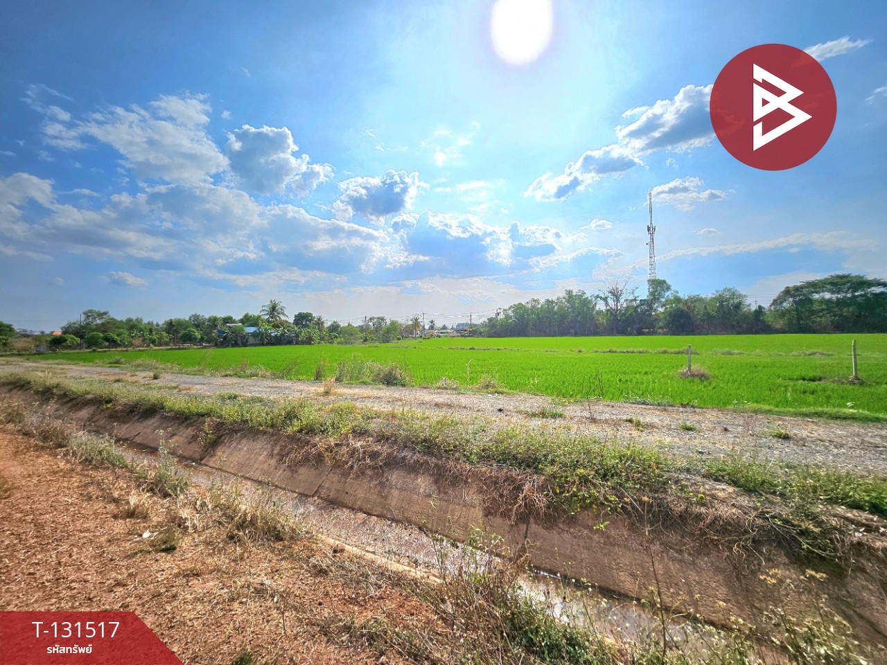 ขายที่ดิน เนื้อที่ 2 ไร่ 90 ตร.วา ปากพลี นครนายก 11