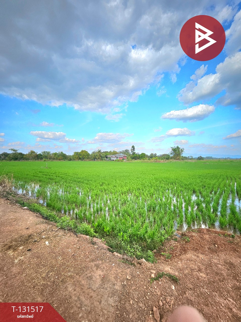 ขายที่ดิน เนื้อที่ 2 ไร่ 90 ตร.วา ปากพลี นครนายก 2