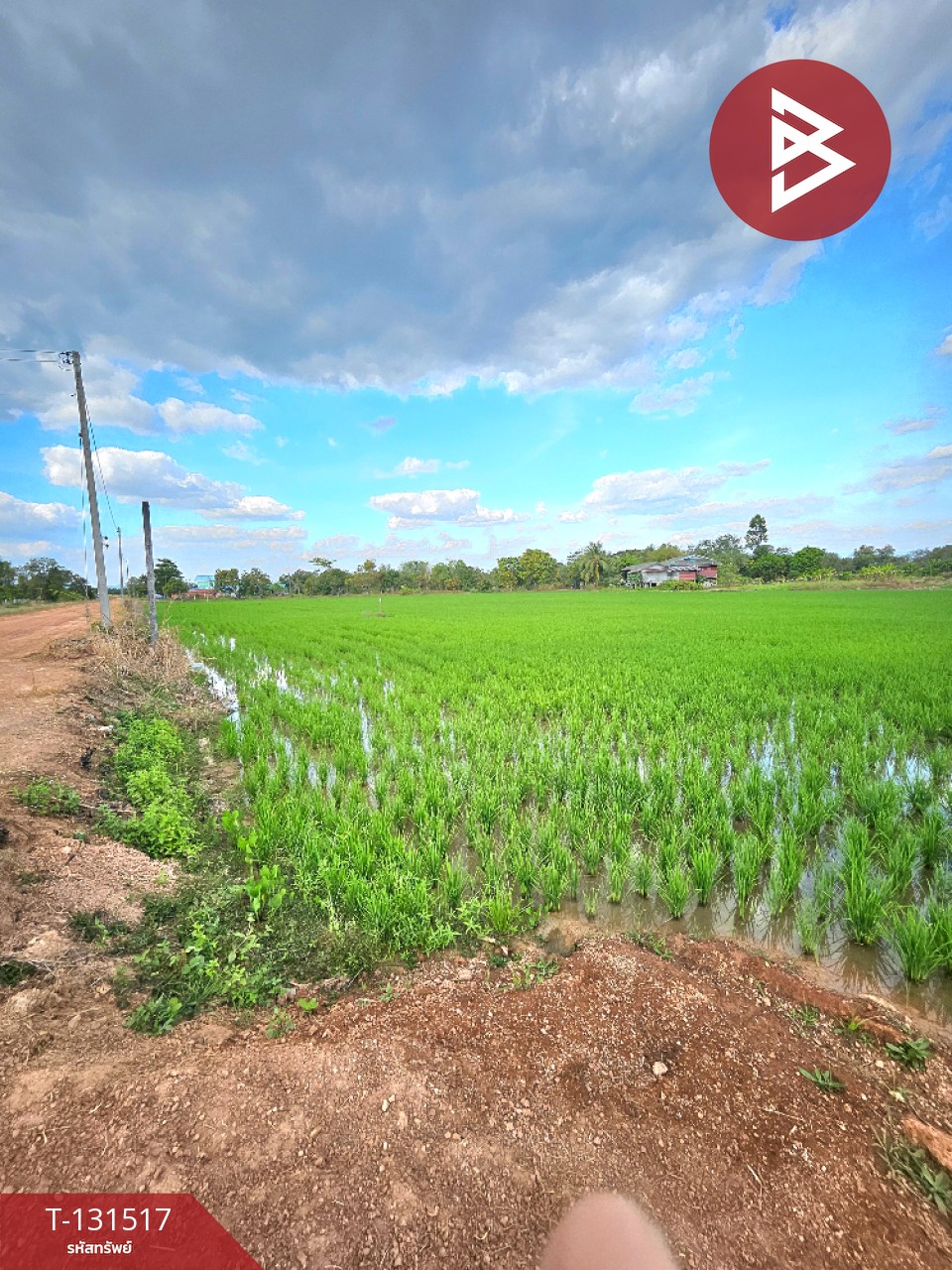 ขายที่ดิน เนื้อที่ 2 ไร่ 90 ตร.วา ปากพลี นครนายก 3