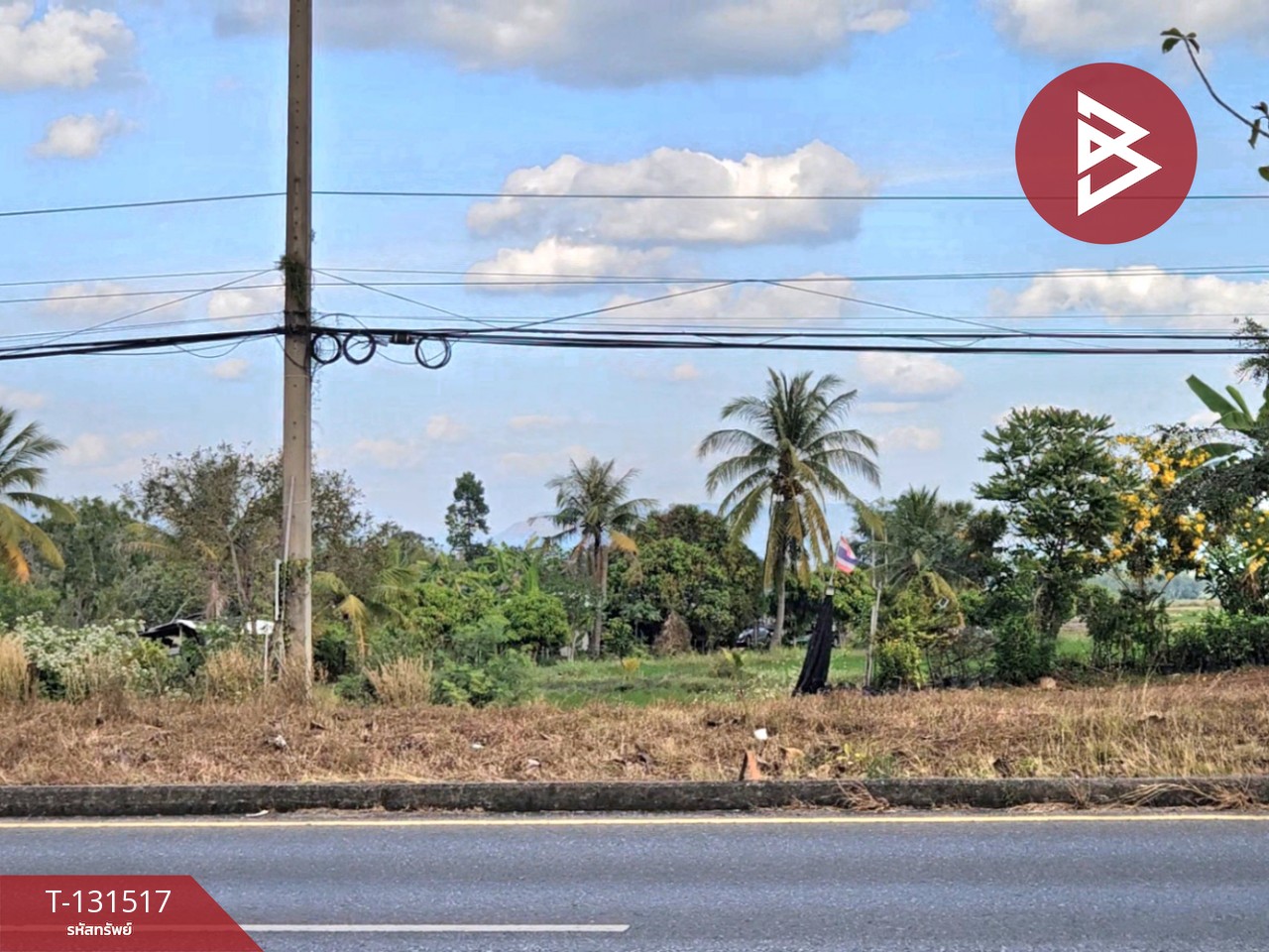 ขายที่ดิน เนื้อที่ 2 ไร่ 90 ตร.วา ปากพลี นครนายก 6