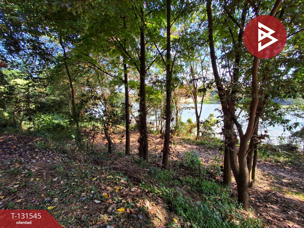 ขายที่ดินพร้อมสิ่งปลูกสร้าง เนื้อที่ 87 ตร.วา โพธาราม ราชบุรี 15