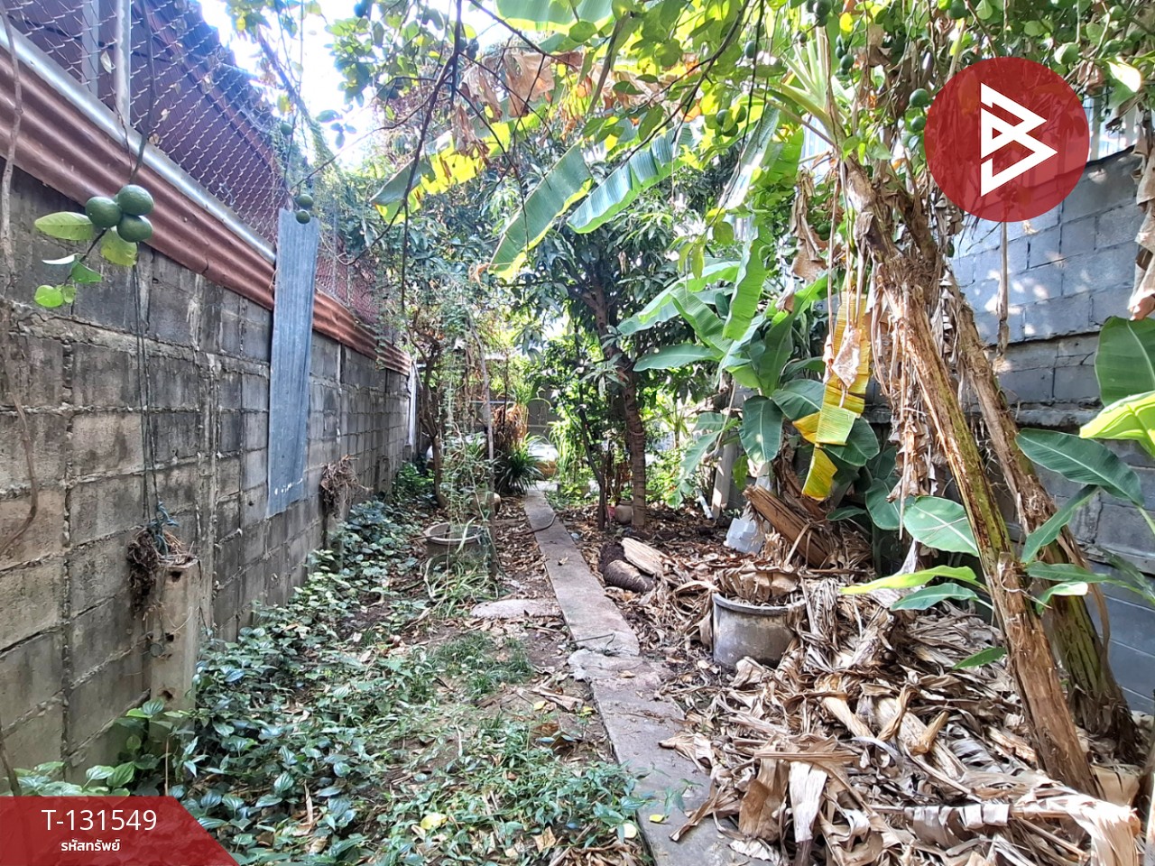 ขายอาคารพาณิชย์ ถ.เทวาภิบาล3 เนื้อที่ 46.8 ตร.วา ในเมือง ร้อยเอ็ด 15