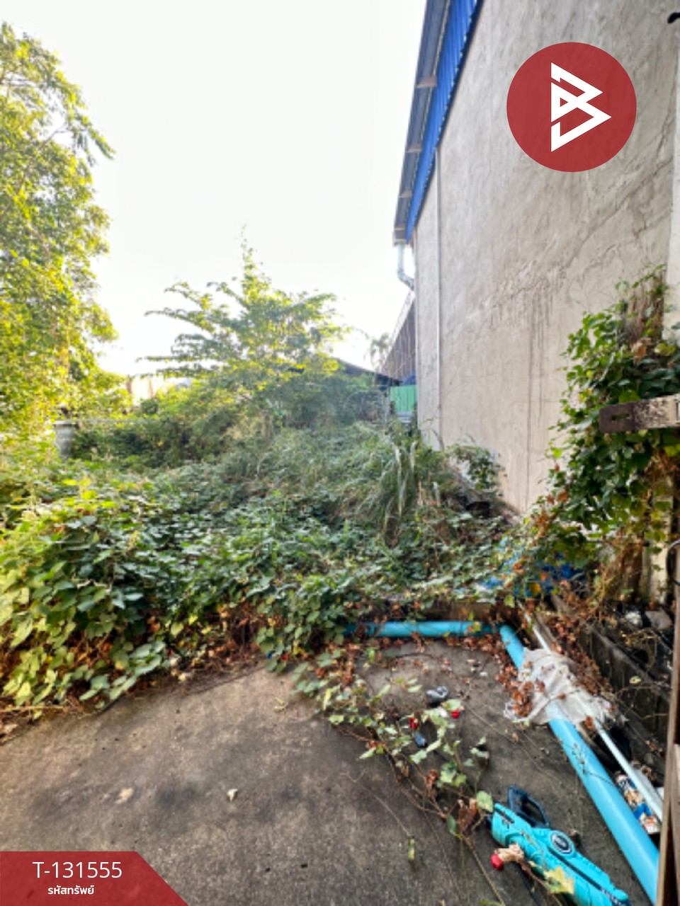 ขายบ้านเดี่ยว 2 ชั้น เนื้อที่ 50.1 ตร.วา ลำปลายมาศ บุรีรัมย์ 8