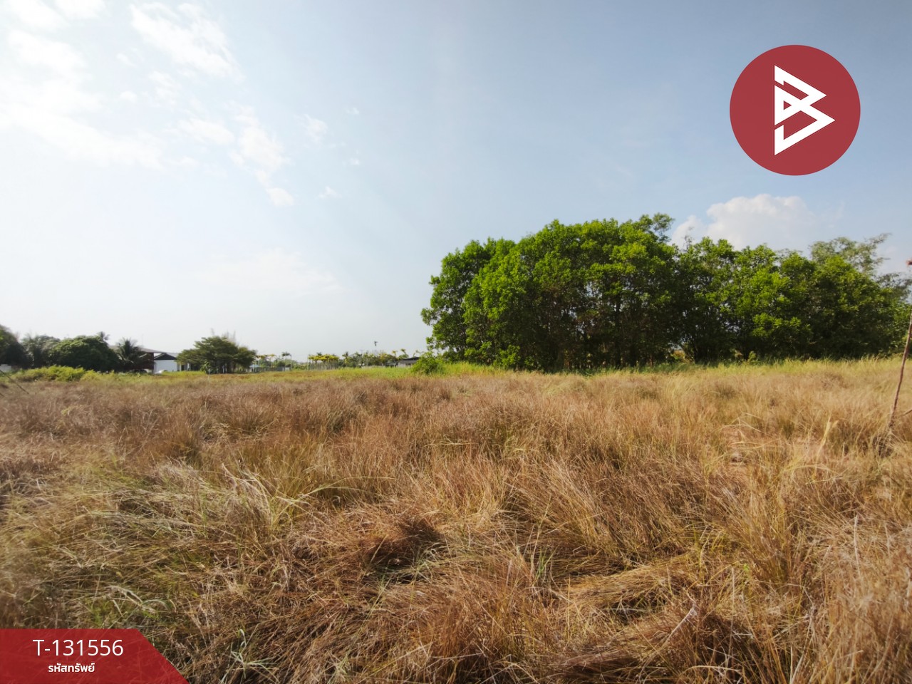 ขายที่ดิน เนื้อที่ 1 งาน ขลุง จันทบุรี 3