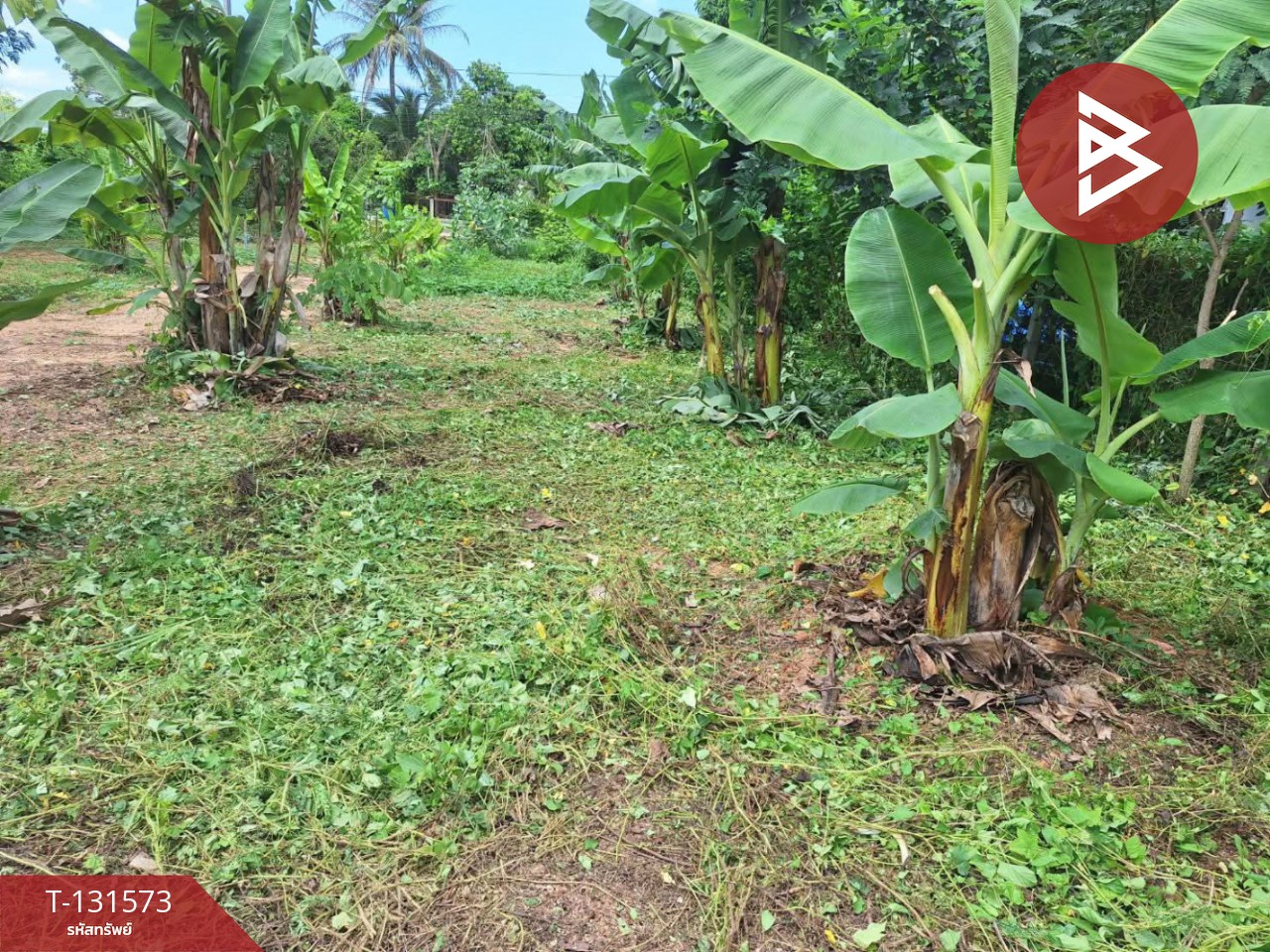 ขายที่ดิน เนื้อที่ 1 ไร่ ใกล้ตัวเมือง ท่าเสา อุตรดิตถ์ 7