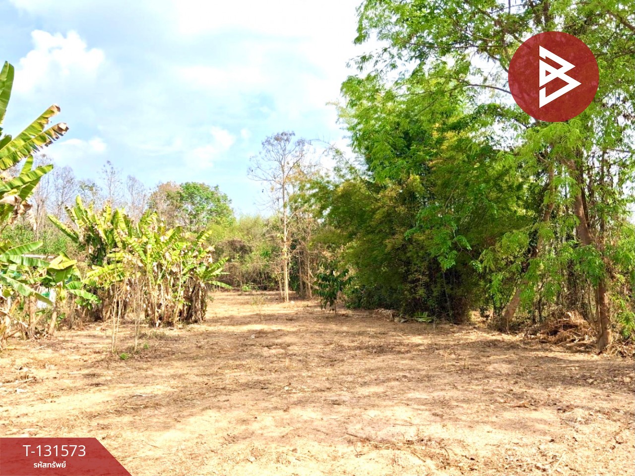 ขายที่ดิน เนื้อที่ 1 ไร่ ใกล้ตัวเมือง ท่าเสา อุตรดิตถ์ 8