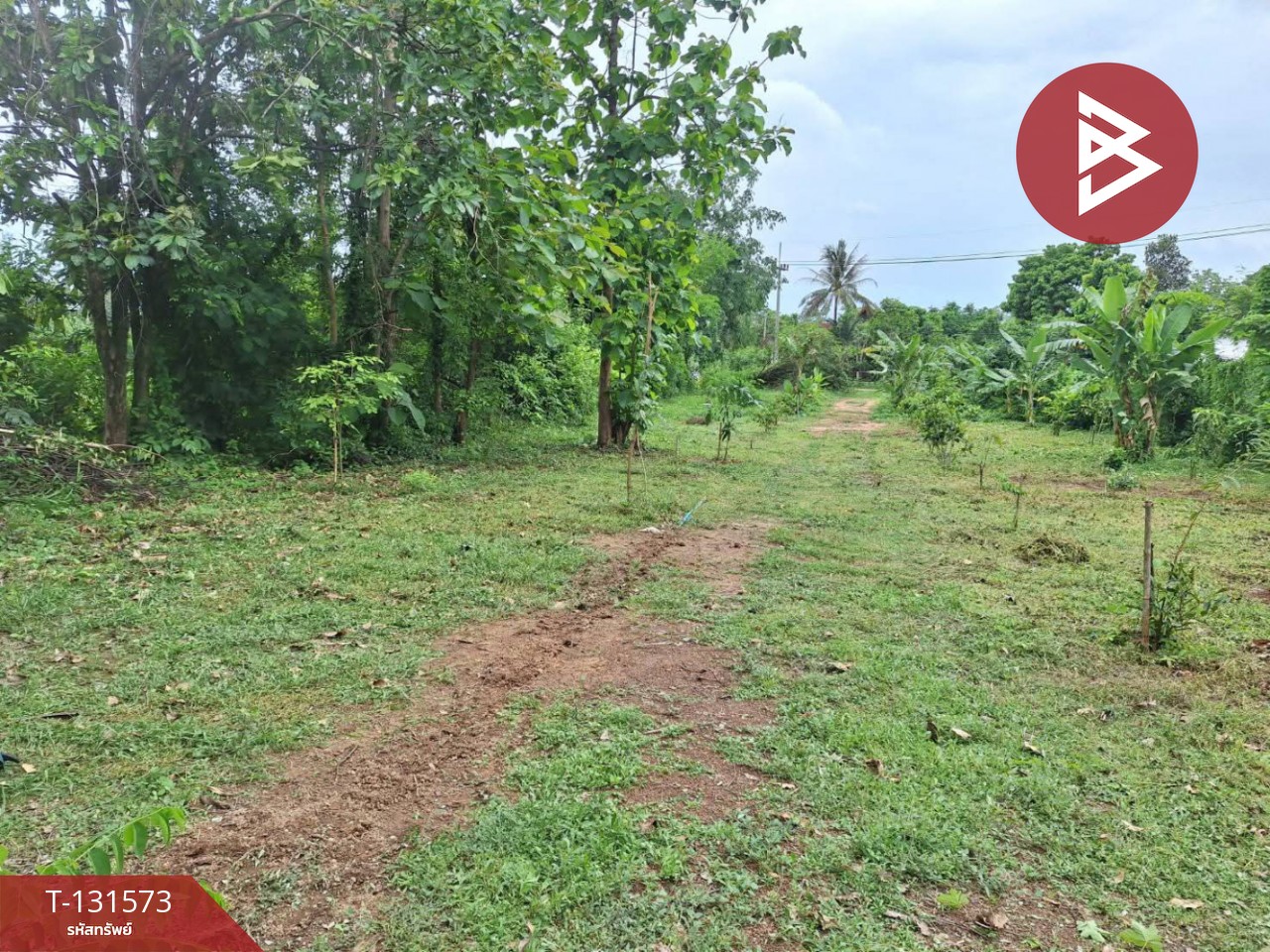 ขายที่ดิน เนื้อที่ 1 ไร่ ใกล้ตัวเมือง ท่าเสา อุตรดิตถ์ 6