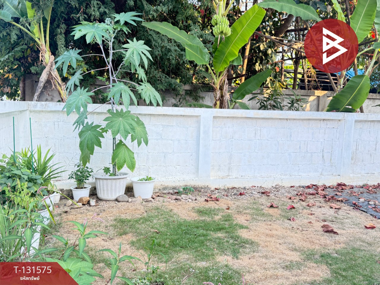 ขายบ้านเดี่ยวชั้นเดียว เนื้อที่ 49.8 ตร.วา ดอยสะเก็ด เชียงใหม่ 12