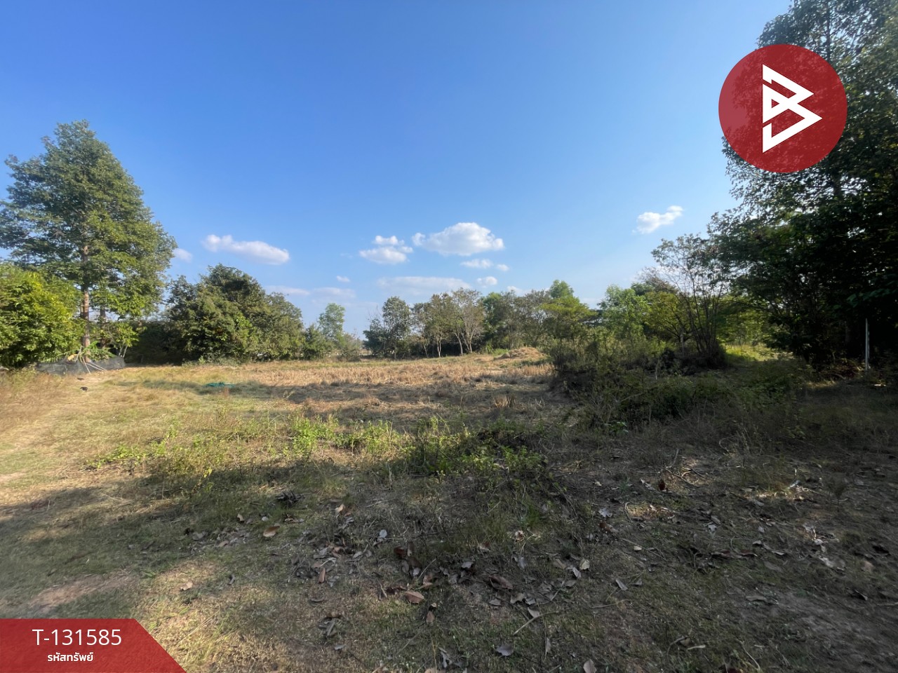 ขายที่ดิน เนื้อที่ 8 ไร่ 2 งาน 57 ตร.วา แวงน่าง มหาสารคาม 12