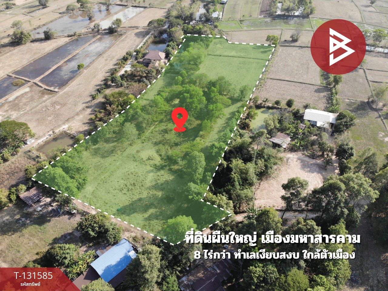 ขายที่ดิน เนื้อที่ 8 ไร่ 2 งาน 57 ตร.วา แวงน่าง มหาสารคาม 2