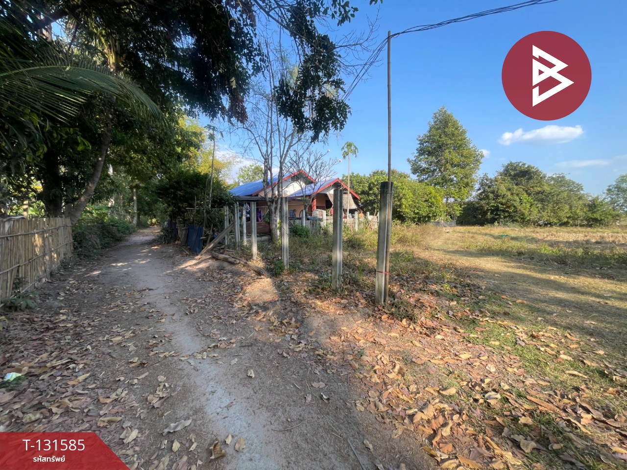 ขายที่ดิน เนื้อที่ 8 ไร่ 2 งาน 57 ตร.วา แวงน่าง มหาสารคาม 15