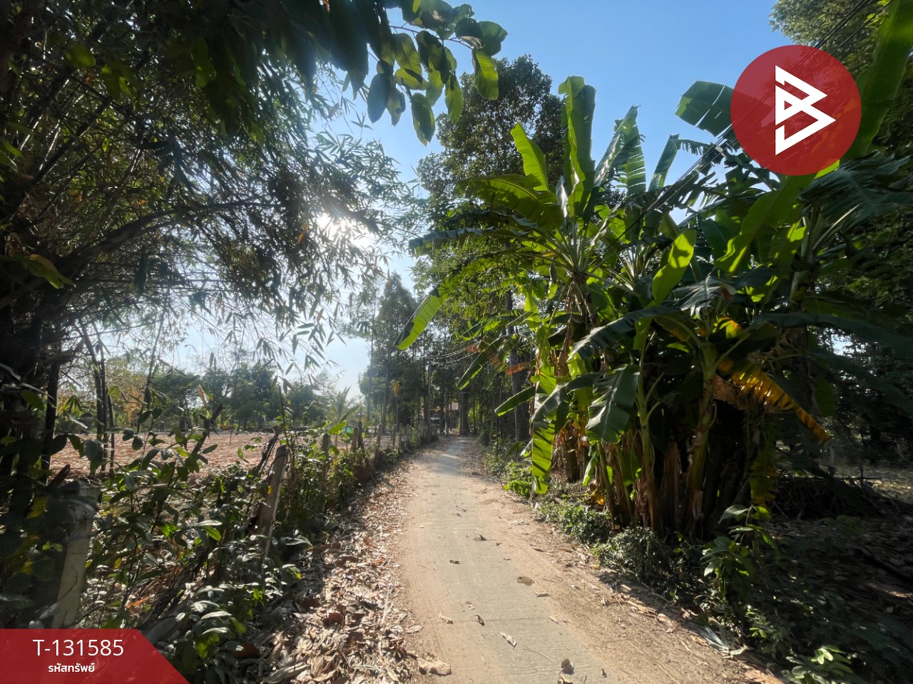 ขายที่ดิน เนื้อที่ 8 ไร่ 2 งาน 57 ตร.วา แวงน่าง มหาสารคาม 14