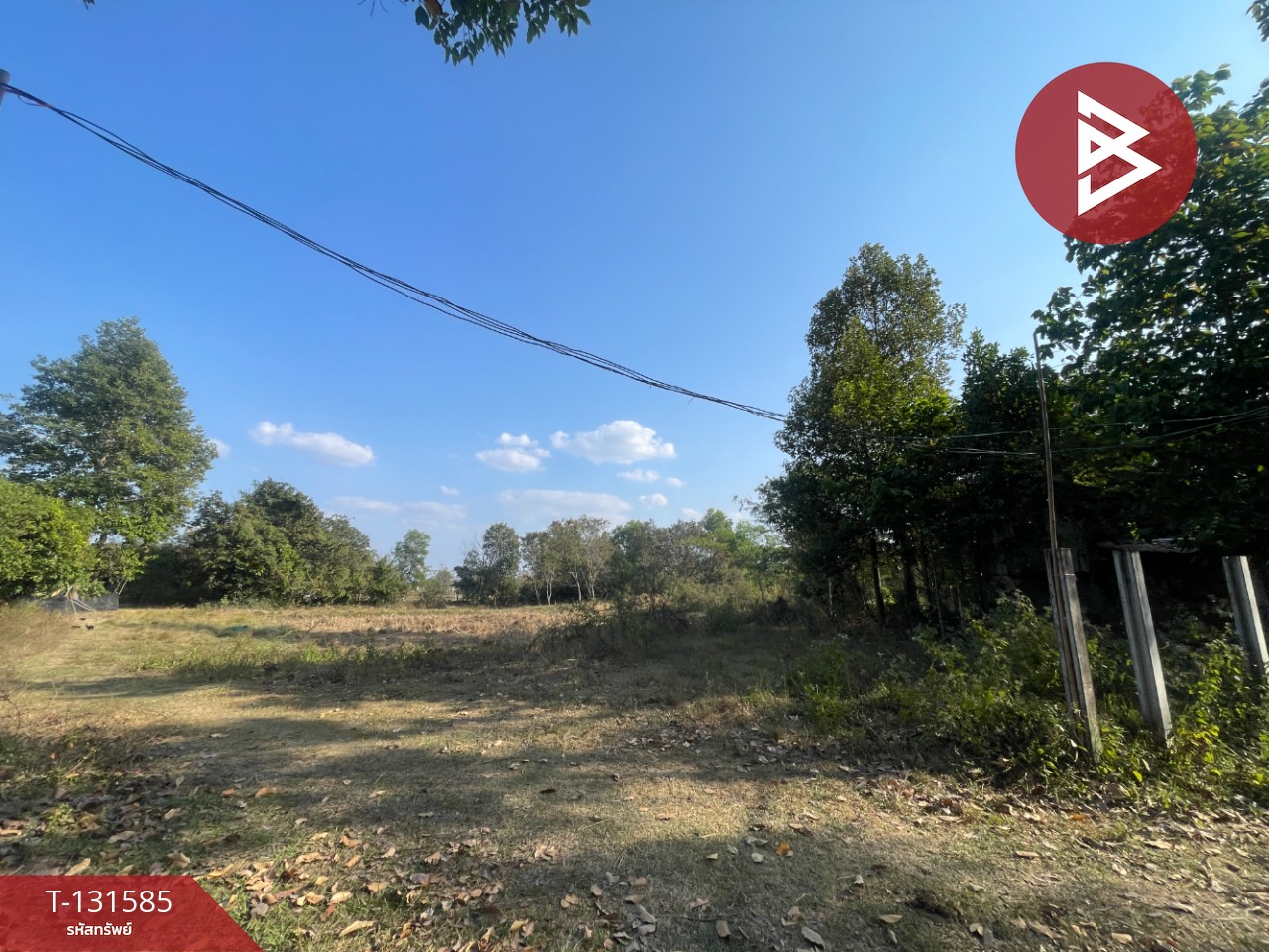 ขายที่ดิน เนื้อที่ 8 ไร่ 2 งาน 57 ตร.วา แวงน่าง มหาสารคาม 11