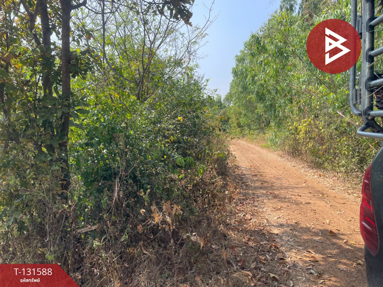 ขายที่ดิน เนื้อที่ 21 ไร่ 2 งาน 8 ตร.วา ประโคนชัย บุรีรัมย์ 7