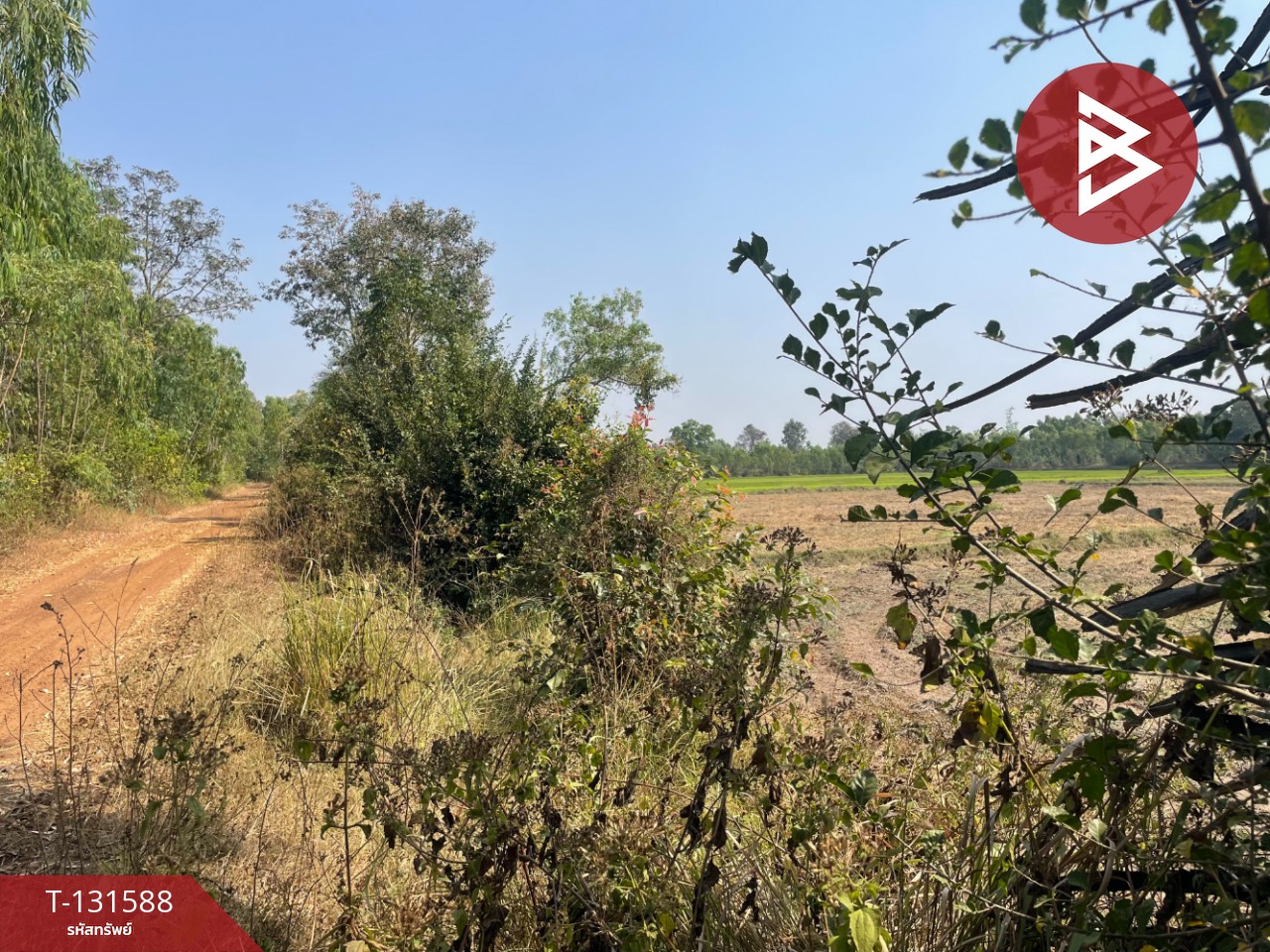 ขายที่ดิน เนื้อที่ 21 ไร่ 2 งาน 8 ตร.วา ประโคนชัย บุรีรัมย์ 5