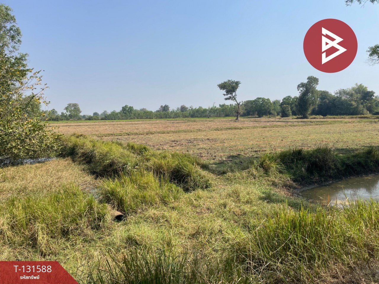 ขายที่ดิน เนื้อที่ 21 ไร่ 2 งาน 8 ตร.วา ประโคนชัย บุรีรัมย์ 2