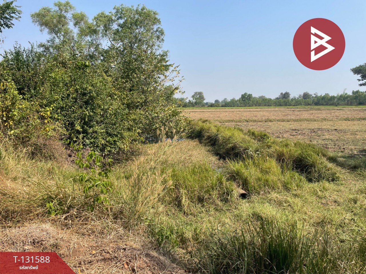 ขายที่ดิน เนื้อที่ 21 ไร่ 2 งาน 8 ตร.วา ประโคนชัย บุรีรัมย์ 8