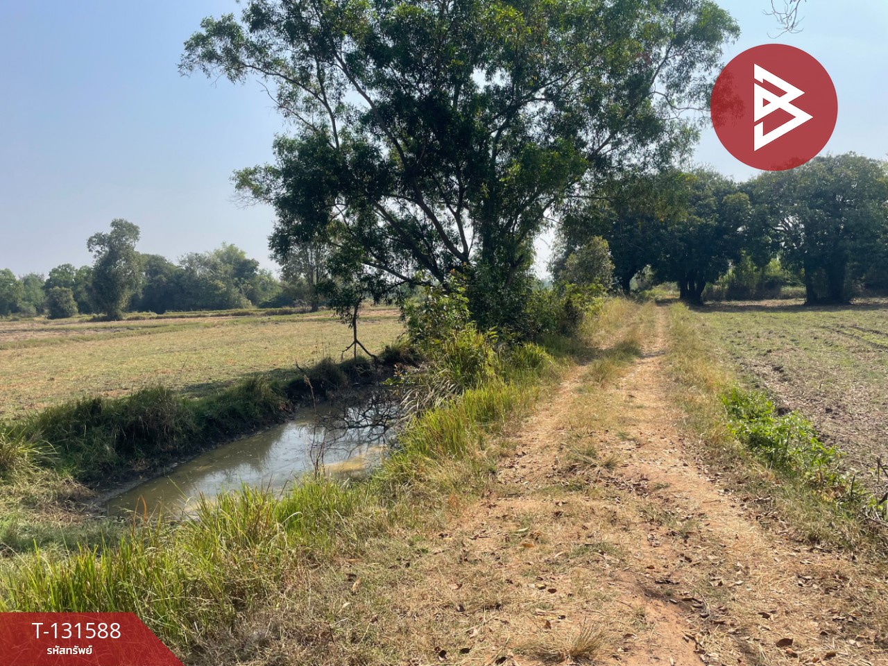 ขายที่ดิน เนื้อที่ 21 ไร่ 2 งาน 8 ตร.วา ประโคนชัย บุรีรัมย์ 6