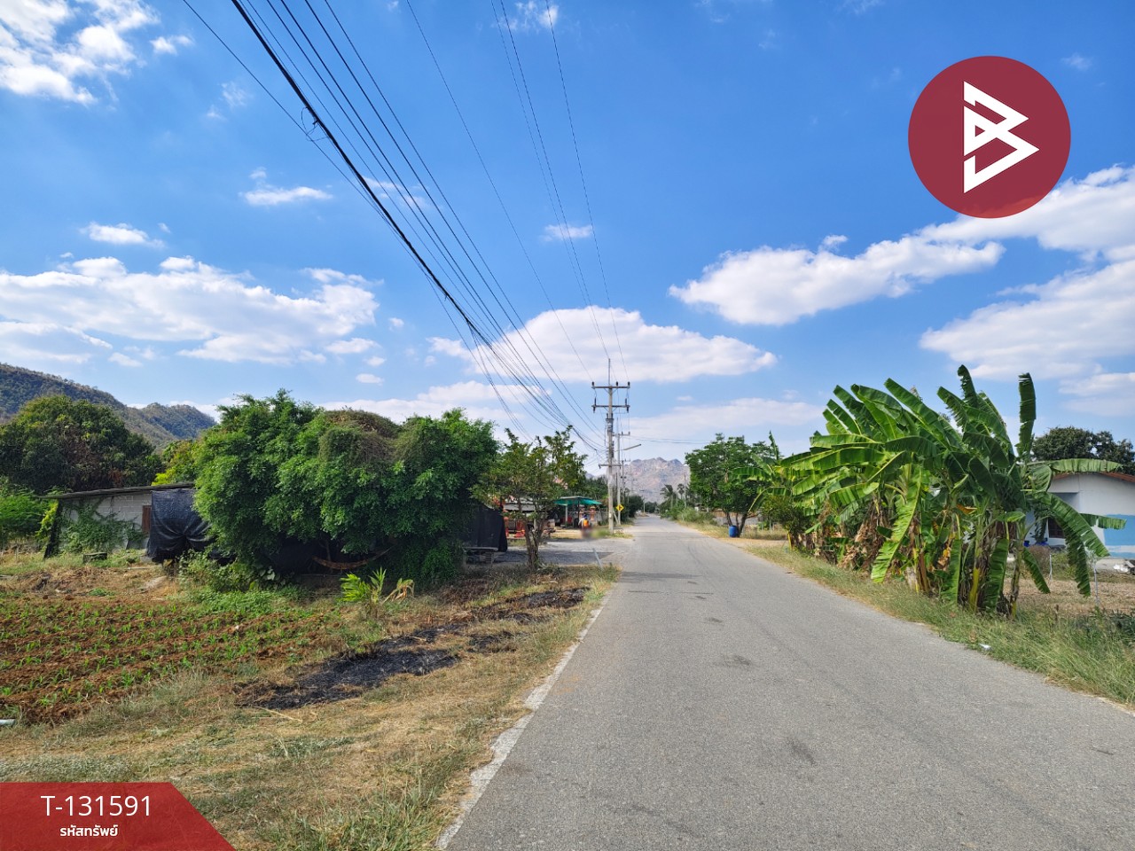 ขายที่ดิน เนื้อที่ 1 งาน 20 ตร.วา ท่าม่วง กาญจนบุรี 4