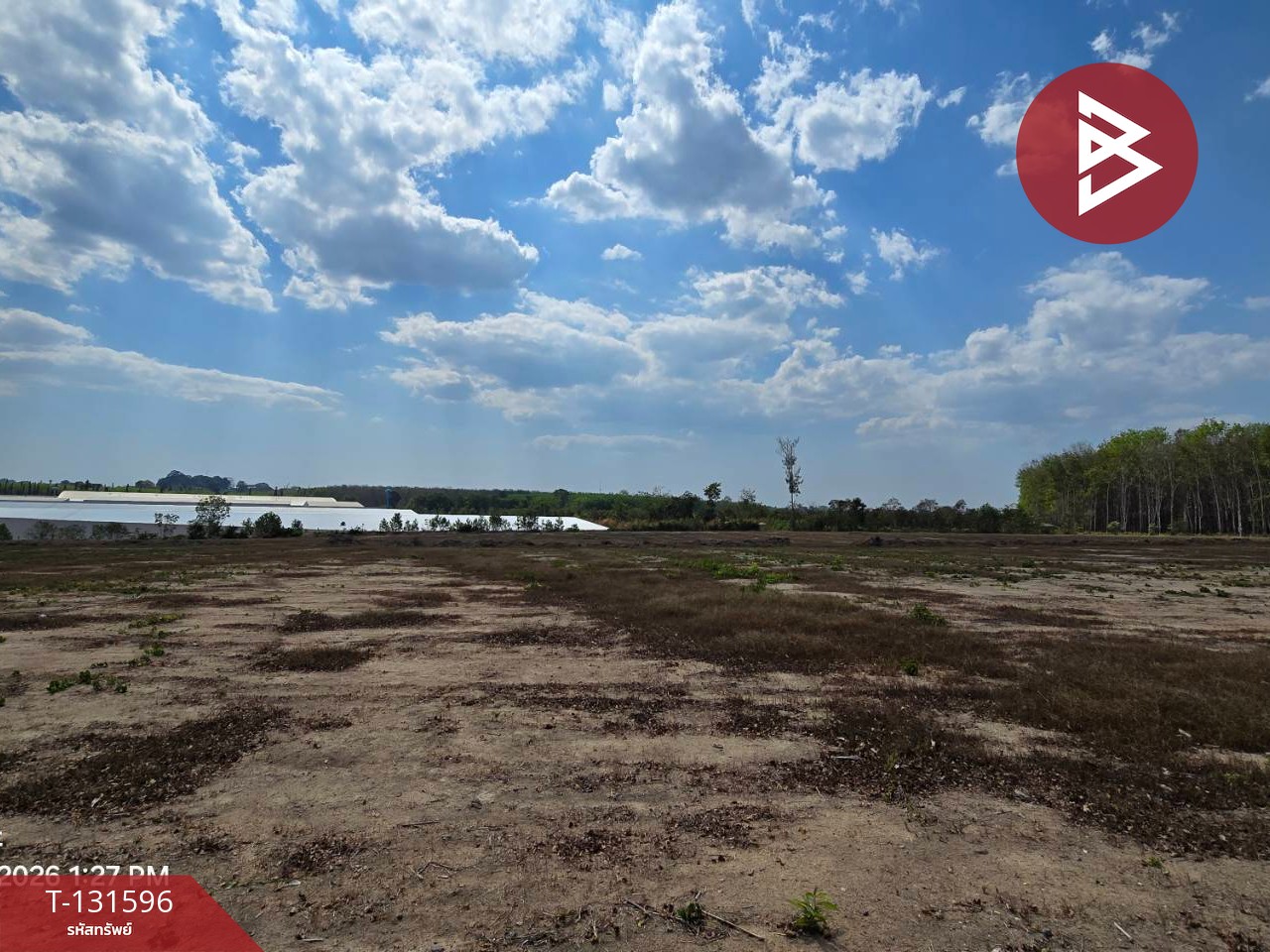 ขายที่ดิน เนื้อที่ 28 ไร่ 3 งาน 58.2 ตร.วา ท่าใหม่ จันทบุรี 11