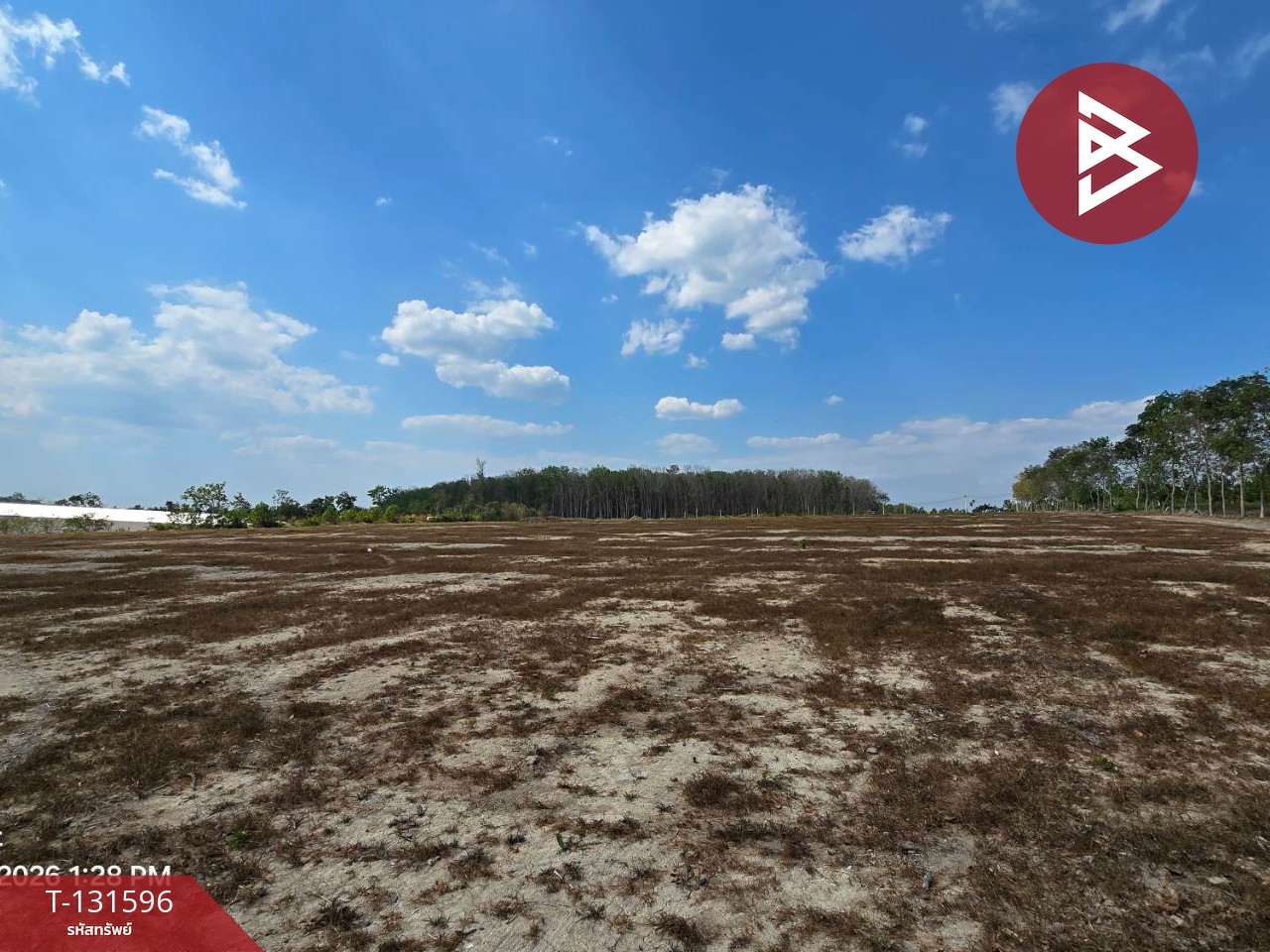 ขายที่ดิน เนื้อที่ 28 ไร่ 3 งาน 58.2 ตร.วา ท่าใหม่ จันทบุรี 9
