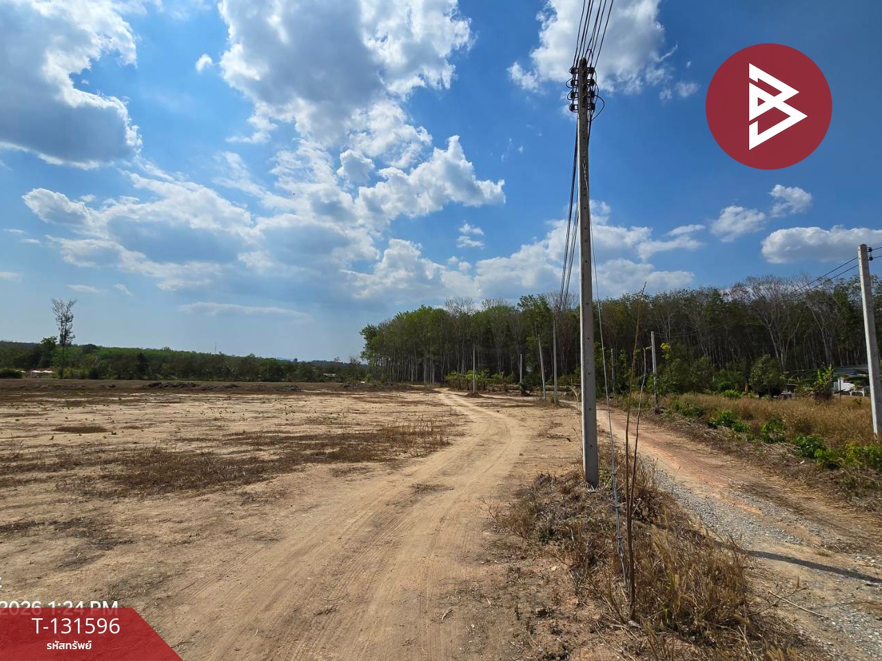 ขายที่ดิน เนื้อที่ 28 ไร่ 3 งาน 58.2 ตร.วา ท่าใหม่ จันทบุรี 12