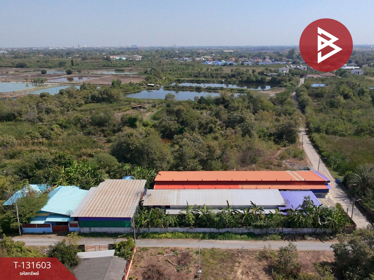 ขายที่ดินพร้อมสิ่งปลูกสร้าง เนื้อที่ 1 ไร่ 1 งาน 63.1 ตร.วา หนองดินแดง นครปฐม 3