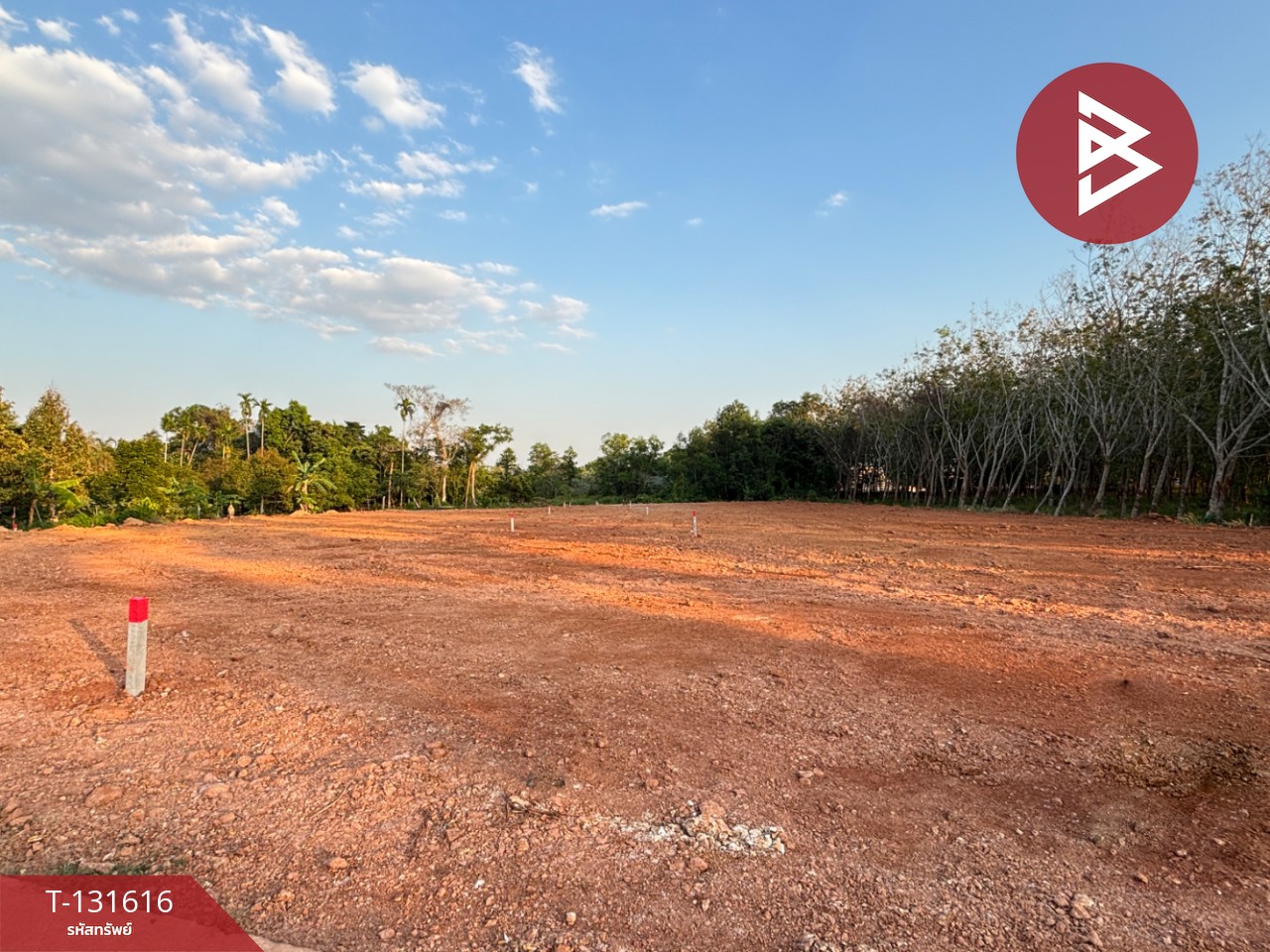 ขายที่ดิน เนื้อที่ 1 งาน 1 ตร.วา แกลง ระยอง 7